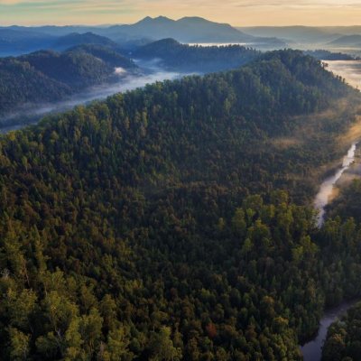 "Tarkine in motion", threatened forest region in Tasmania